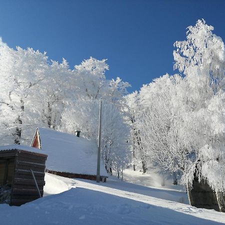 Mountain Village Žabljak Eksteriør billede