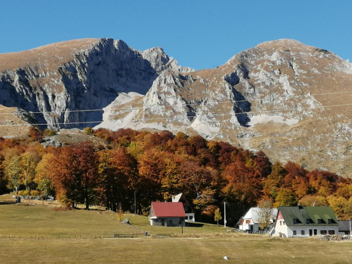 Mountain Village Žabljak Eksteriør billede